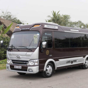 Cho thuê xe VIP Limousine 16 chỗ - loại 2 - Ảnh 4