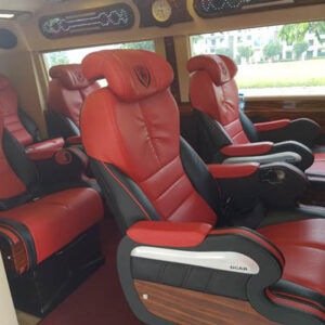 Cho thuê xe VIP Dcar 10 chỗ - Ảnh 2