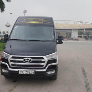 Cho thuê xe VIP Huyndai Solati Limousine 11 chỗ - Ảnh 3