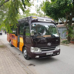Cho thuê xe VIP Limousine 16 chỗ - Ảnh 18