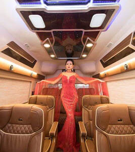 Cho thuê xe VIP Huyndai Solati Limousine 11 chỗ - Ảnh 6