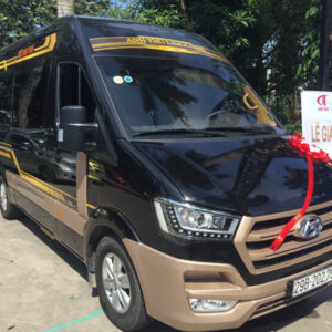 Cho thuê xe VIP Huyndai Solati Limousine 10 chỗ - Ảnh 7