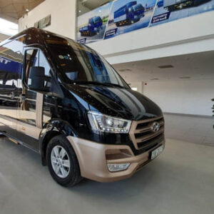 Cho thuê xe VIP Huyndai Solati Limousine 10 chỗ - Ảnh 16